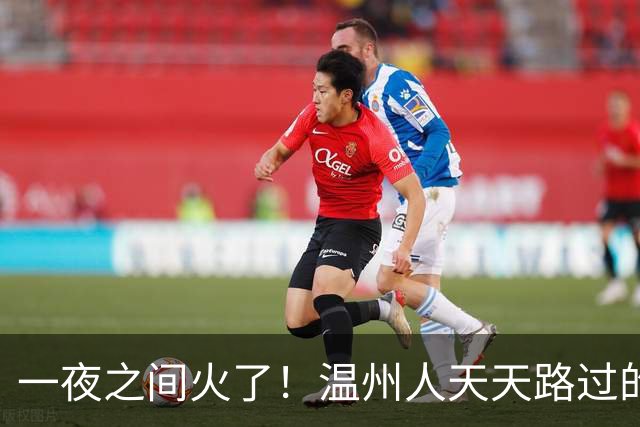 一夜之间火了！温州人天天路过的这棵大树