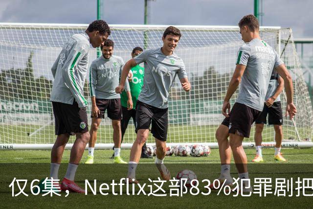 仅6集，Netflix这部83%犯罪剧把《绝命毒师》挤下去了