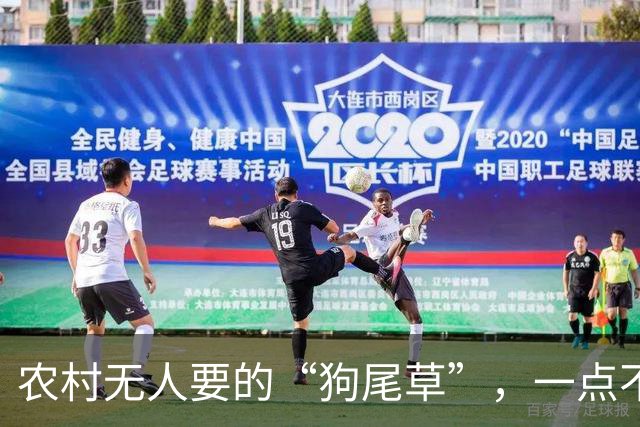 农村无人要的“狗尾草”，一点不起眼，带回家还有这“妙用”！