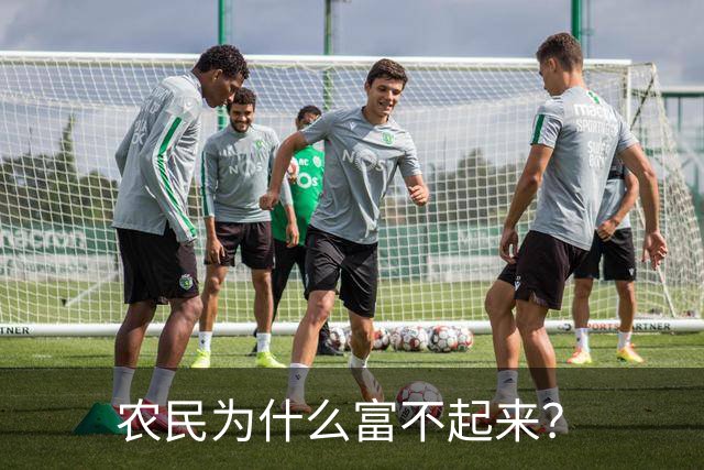 农民为什么富不起来？