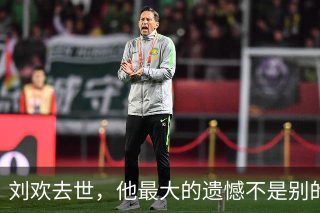 刘欢去世，他最大的遗憾不是别的，而是那个认识九天就求婚的妻子