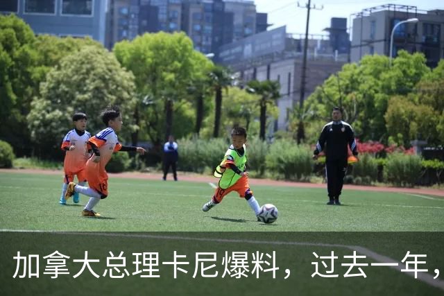 加拿大总理卡尼爆料，过去一年，一直在为特朗普下令对加拿大采取军事行动做准备