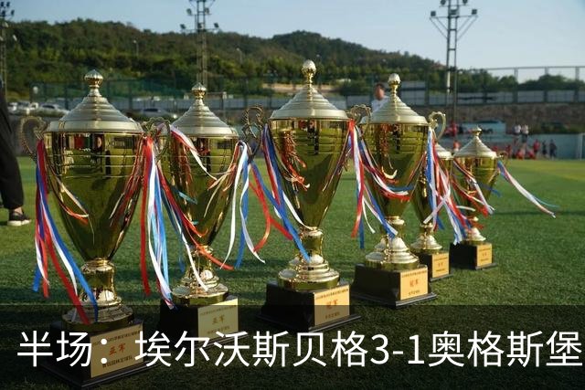 半场：埃尔沃斯贝格3-1奥格斯堡，罗尔、金特、佩特科夫破门