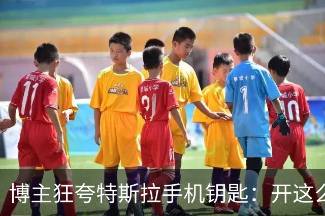 博主狂夸特斯拉手机钥匙：开这么多年没失误过 真是断层第一