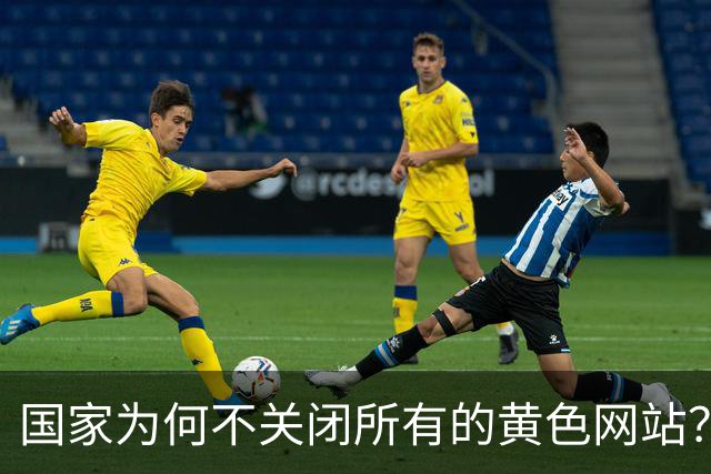 国家为何不关闭所有的黄色网站？原因来了！