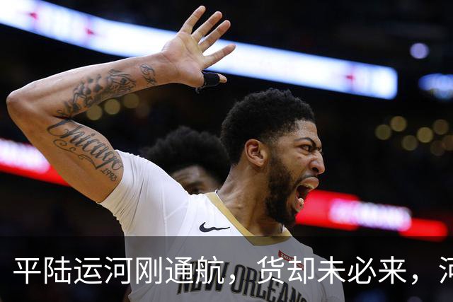 平陆运河刚通航，货却未必来，河南又出手，真正目标不只是运输