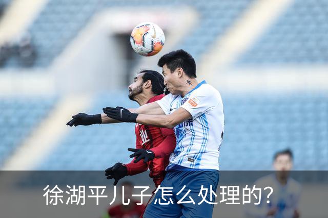 徐湖平儿子怎么处理的？