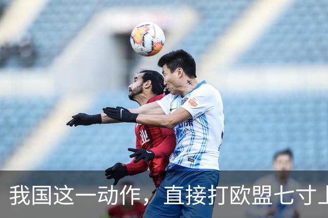 我国这一动作，直接打欧盟七寸上，欧盟内部瞬间安静了，不简单