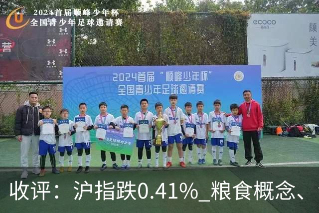 收评：沪指跌0.41% 粮食概念、汽车整车等板块走强