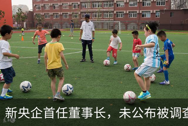新央企首任董事长，未公布被调查就直接“双开”