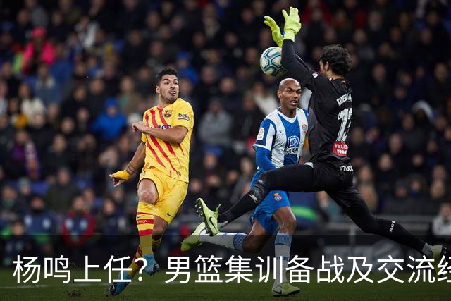 杨鸣上任？男篮集训备战及交流经费出炉！曝郭士强下课已成定局