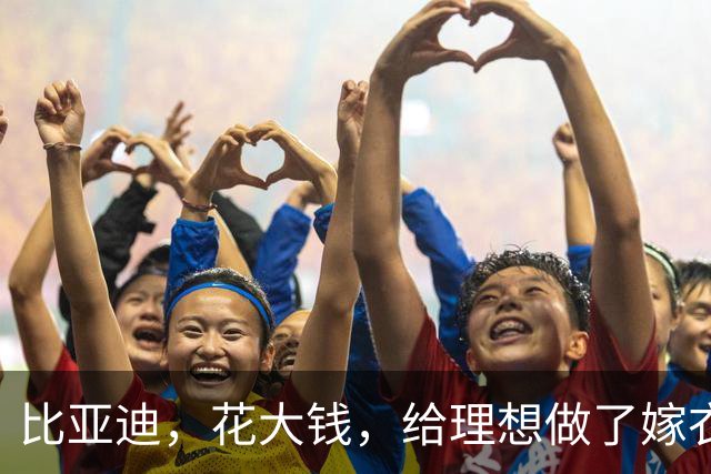 比亚迪，花大钱，给理想做了嫁衣