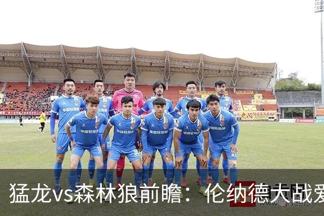 猛龙vs森林狼前瞻：伦纳德大战爱德华兹，一场不同风格的强硬对决