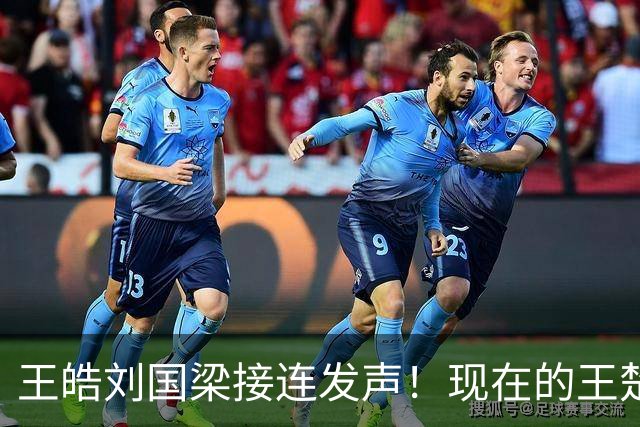 王皓刘国梁接连发声！现在的王楚钦，完全证实马龙两年前说的话