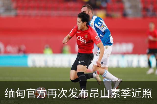 缅甸官方再次发布昂山素季近照