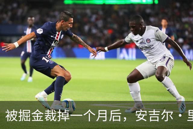 被掘金裁掉一个月后，安吉尔·里斯的弟弟签下鹈鹕双向合同