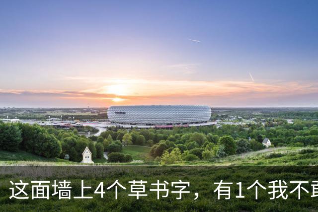 这面墙上4个草书字，有1个我不敢确定！全部读对的，您的眼力令我心服口服！大字怎样才能写得开张磅礴，又不流于松散？