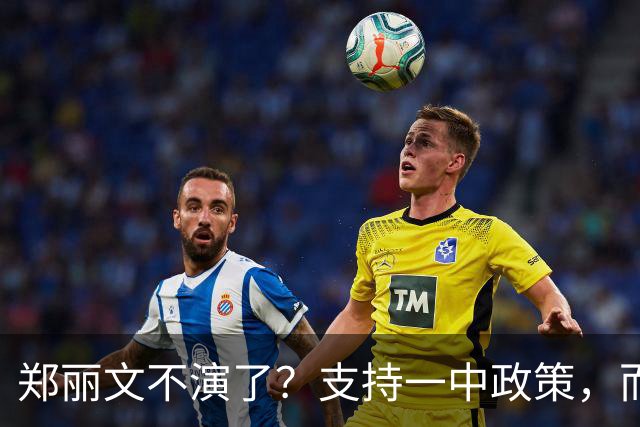 郑丽文不演了？支持一中政策，而非一中原则，最终目标和平独台？