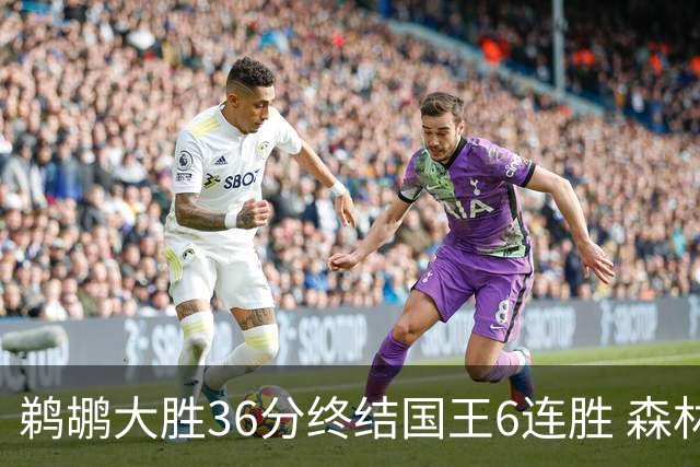鹈鹕大胜36分终结国王6连胜 森林狼大胜尼克斯