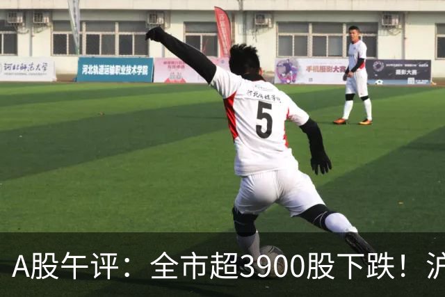 A股午评：全市超3900股下跌！沪指跌0.89%，创业板指跌2.77%，均创逾一年新低