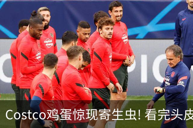 Costco鸡蛋惊现寄生虫! 看完头皮发麻, 再也不敢吃! 还有活虫蠕动...