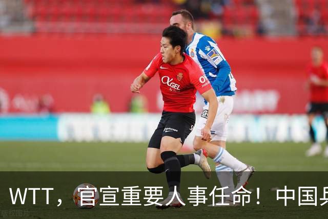 WTT，官宣重要人事任命！中国乒乓52岁美女被提拔，，走马上任总监岗位